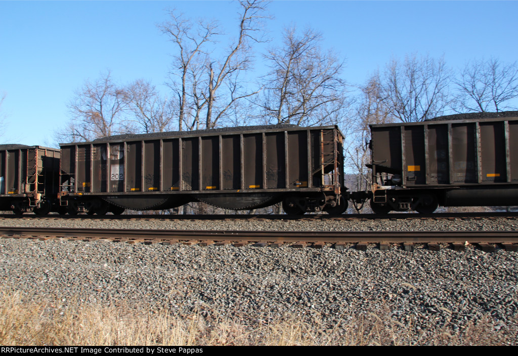 NS 10202